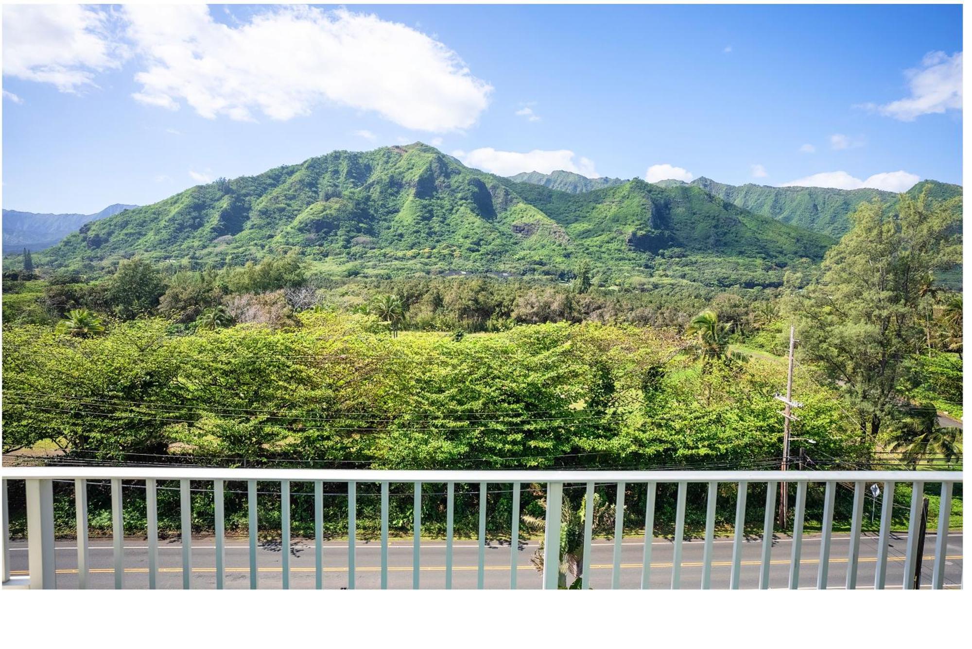 ハウウラ Pats At Punalu'Uアパートホテル 部屋 写真